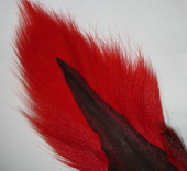 bucktail large scarlet 